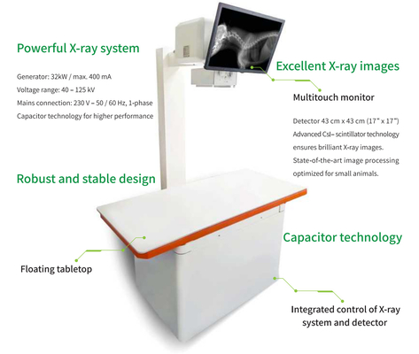 32KW 수의사 의료 장비 실시간 플루오로스코피 기계 DR